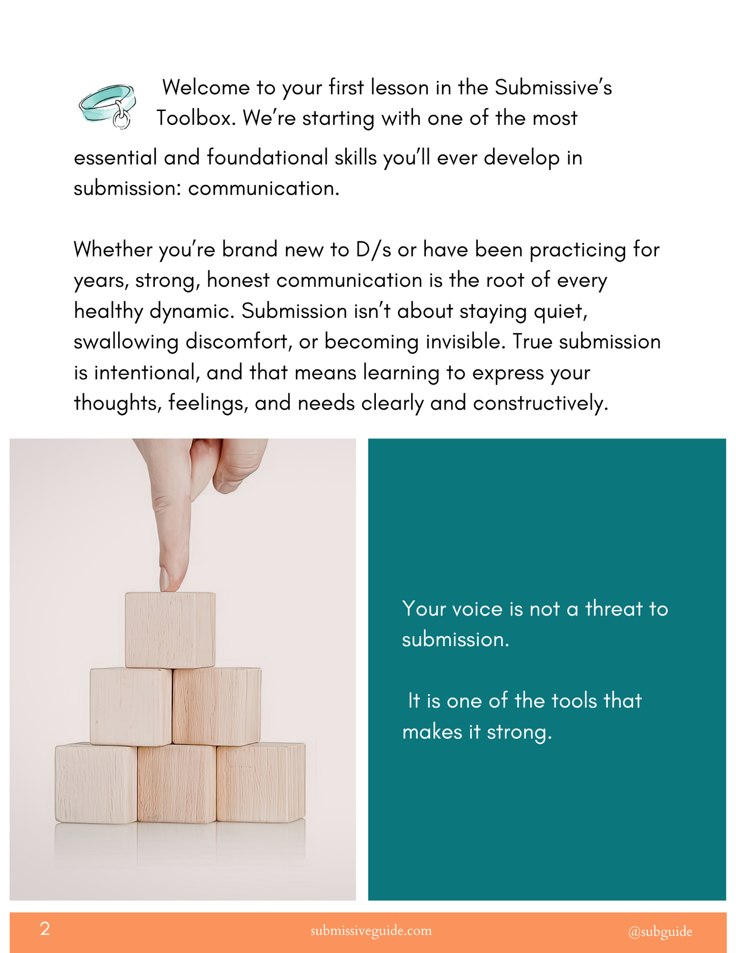 The Submissive's Toolbox